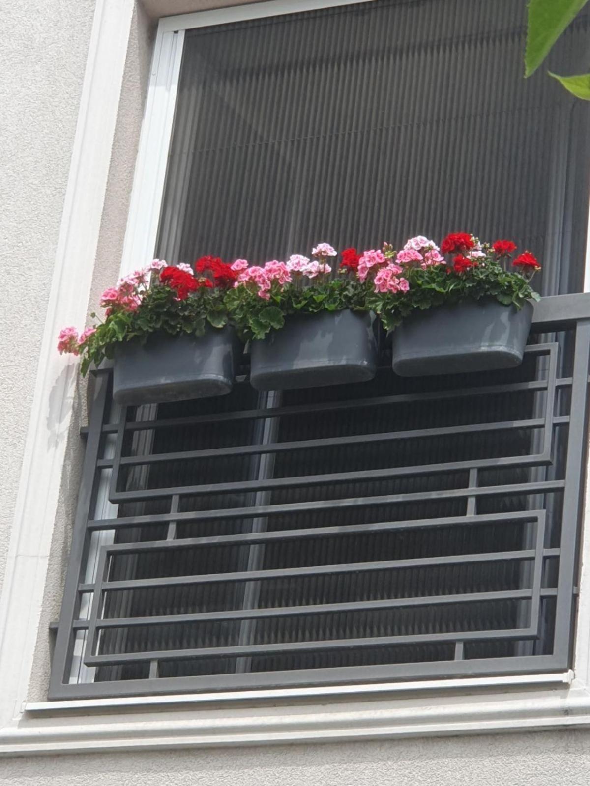 Apartment Rea Subotica Exterior foto